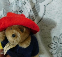 paddington mini a